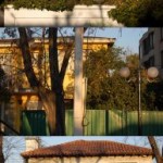 Houses with orange trees at around 5 pm on a sunny winter day